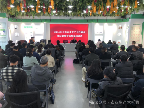 农管家公司开展2024年全市农业生产大托管及基层农经业务知识培训