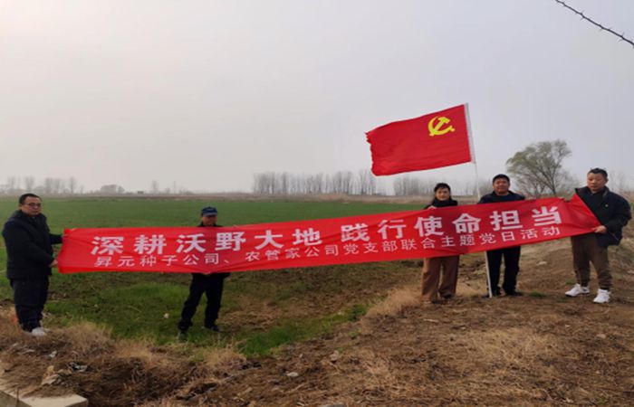 1未命名_副本
